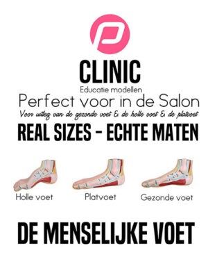 Σετ εκπαίδευσης ποδιών 3 τεμαχίων