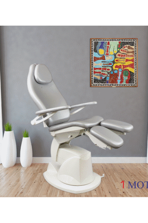 1 MOTION PATIENT chair Berchtold