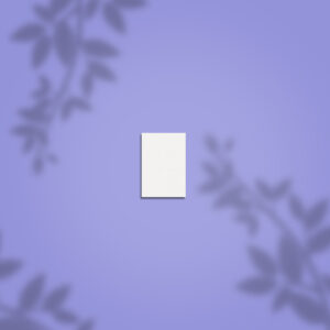 mini buffer νυχιών EXPERT 51 100/180 ορθογώνιο