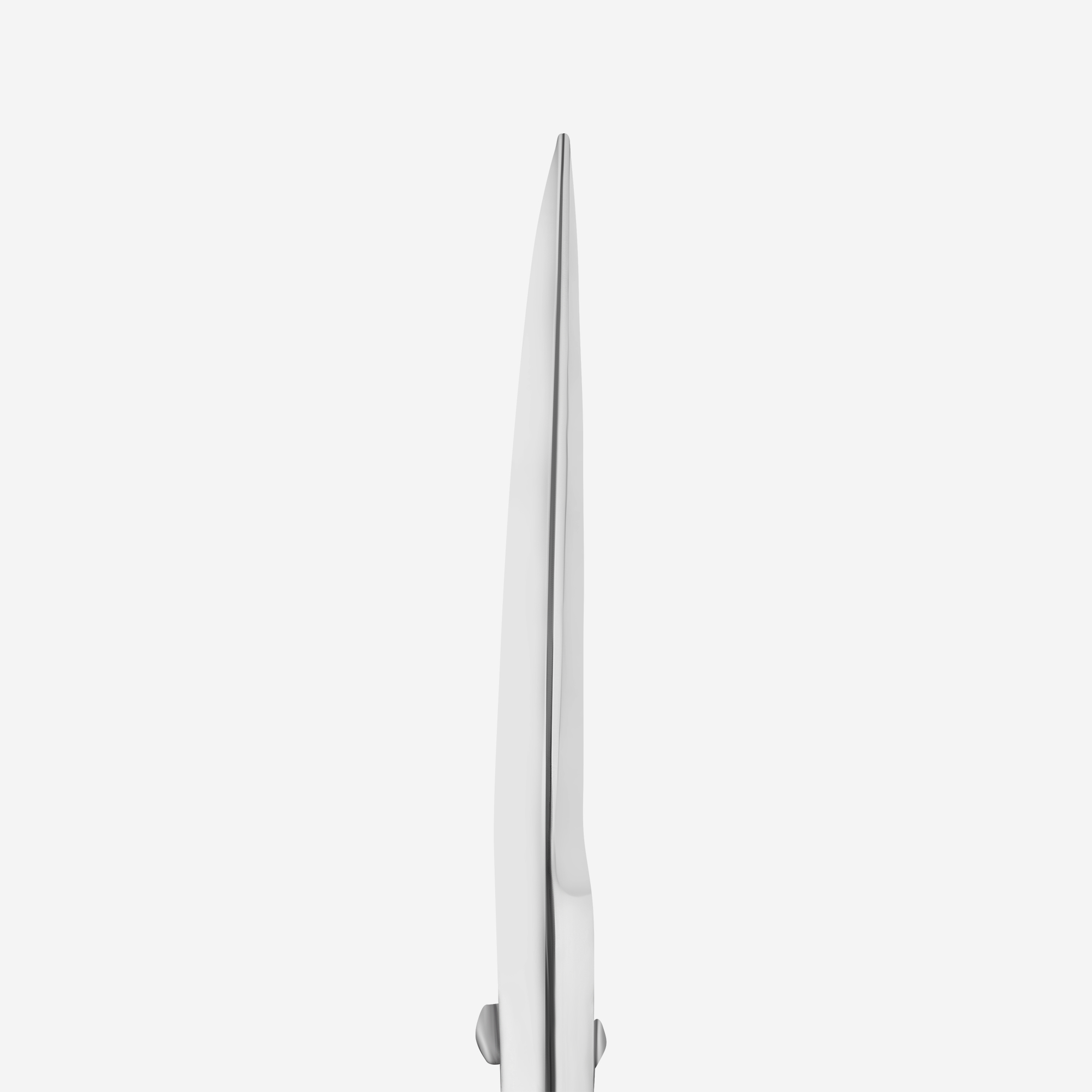Professional Ψαλιδάκι Φρυδιών EXPERT 30 TYPE 1 - Image 3