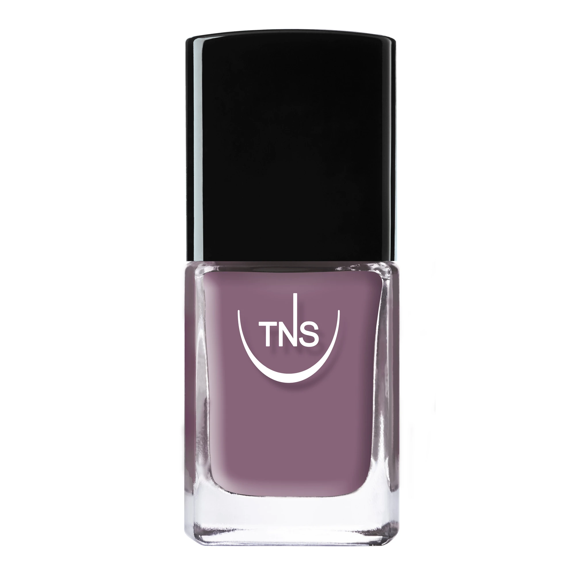 TNS Fairy Tale Dusty Lilac επαγγελματικό βερνίκι νυχιών 10 ml